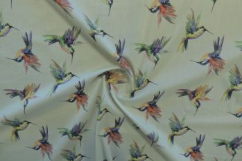 Lady McElroy Arizona Hummingbirds - Light Sage