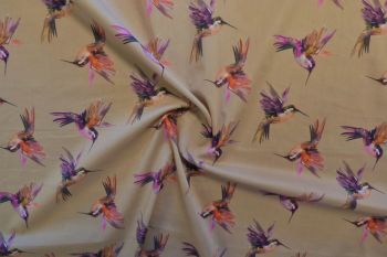 Lady McElroy Arizona Hummingbirds - Natural