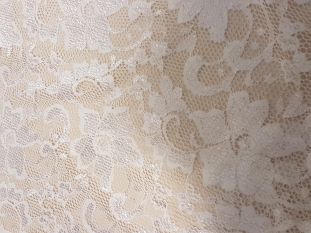Ivory Shimmer Lace