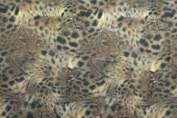 Lady McElroy Panthera Mirage - Viscose Challis Lawn Remnant - 2.0m